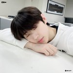 진심 박성훈으로 <b>유사</b>먹지마라