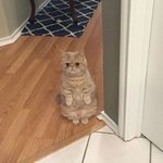 [댓글부탁해] 예쁜 판녀들아 예쁜 노트북 ㅊㅊ <b>plz</b>