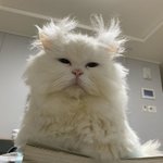 <b>얼굴</b>에서 하나만 존예될<b>수</b> 있다면 뭐할랭