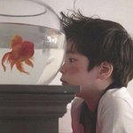 [19] <b>폭설</b> ㅅㅂ ㅋㅋㅋㅋㅋ뭔데 귀엽냐