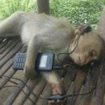 [NCT] 어익후 이태용 도입부 여는 모습 생각하면 ㅠㅠ