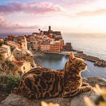 여행을 즐기는 <b>수키</b>를 아시나요?