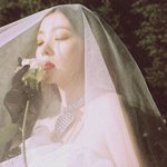 예쁨의 <b>균형</b>감각이 뛰어난 女돌