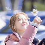 비대면살이가 <b>힐링</b>하며 보는 아이돌..