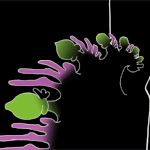 디파이(DeFi) <b>음모</b>는 현실: 커뮤니티인가, 아니면 공모인가?