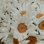 나 유학생인데 <b>교포</b>한테 차별? 당한 적 있는데 들어줄사람