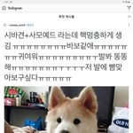 [빅톤] <b>우야</b>랑 식이 합치면...