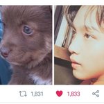 [NCT] 아니 왜 자꾸 오른쪽 <b>사진</b>보고 <b>강아지</b>래;