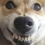 ㅇㄴ 너네 <b>스팩</b> 뭐길래