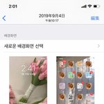 폰꾸 시초일듯
