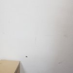 [이것좀봐줘] 신도림 노란마트 <b>바퀴</b>벌레 나와오네요