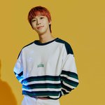 방금 공개 된 포켓돌스튜디오 신인 남돌 멤버.jpg