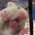 불닭에 마요네즈 뿌려먹으면 <b>존맛</b>