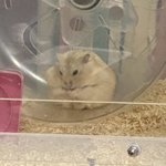 [19] 얘들아 나 당근<b>마켓</b> 직거래하는데