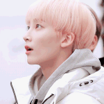 케이팝에 진심인 사람이 쓰는 아이돌 추천곡 모음