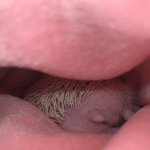 [19] 엉덩이 <b>빛삭</b>