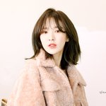 [레드벨벳] 팬톡 살리기 21일차 : 손승와니