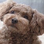 <b>이화</b>여대생 놀아줘요 10대님들,,,
