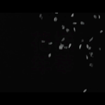 [방탄소년단] 진심 세상에서 제일 <b>지독</b>함