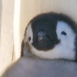 [진짜도와조] 고3인데 나좀 도와줘ㅠㅠㅠ