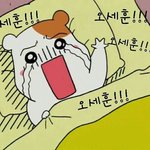 [EXO] 세훈이 거품 보면 볼수록