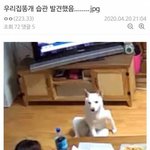 [댓글부탁해] 이 <b>증상</b> 뭐인거같늠?