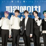오늘 뜬 <b>피원</b>하모니 기사 사진