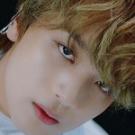 <b>혼란</b>을틈타 엔시티 소신발언