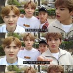 [NCT] 새 멤도 좋긴한데 웨이븨때문에 <b>혼절</b>직전