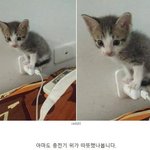 허리있는거임 통짜수준임 <b>미방</b>ㅇ