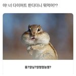 보통에서 날씬 다이어트 방법 알<b>려조</b>