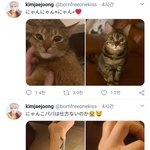 [김재중] [트위터] <b>서방</b> 팔에 상처났어ㅠ