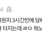 쇼타로 병크 이거 <b>맞음</b>?