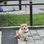 눈<b>정화</b> 뇌정화 진정타임