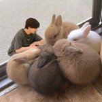 [방탄소년단] 와 오늘 <b>모임</b>했던거 나만 몰랐어?