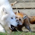 <b>예</b>쓰<b>썰</b> 원오브어카인드