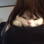 [드루와] <b>엽떡</b> 졸여먹는게 맛있지않냐