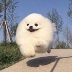 [방탄소년단] 남주나 우리 기다린다