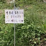 얘드라 개웃기지 않음?