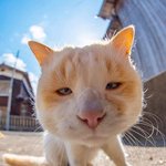 [방탄소년단] 이런 표정 융기 짤 있어?