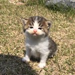 [NCT] 이티와이 맨날 밥 안 먹어서 이모님한테 <b>혼날</b>듯