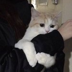 [드루와] 나 진짜 방탄 ㅂㄹ 안좋아해서