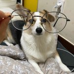 진짜 살찌니까 <b>옷고</b>를때 우울하다