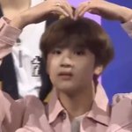 [NCT] 근데 얘들아 우리 투표권 없어도 사재낄거 아녔어?