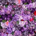 [빅톤] 자꾸 아련<b>청량</b>