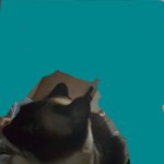 [댓글부탁해] 고앵이가 몸 올라탔다는 <b>쓰니임</b>