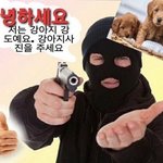 나 아메리카노 ㅈㄴ 안 맞는데 <b>몬스터</b> ㄱㅊ?