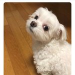 [NCT즌] 근데 정우 <b>군기</b> 잡은 거