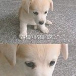 [방탄소년단] 그냥 영화보고 나와서 느낀 생각