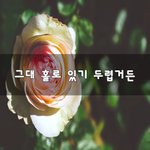 [이것좀봐줘] 그대 홀로 있기 두렵거든~